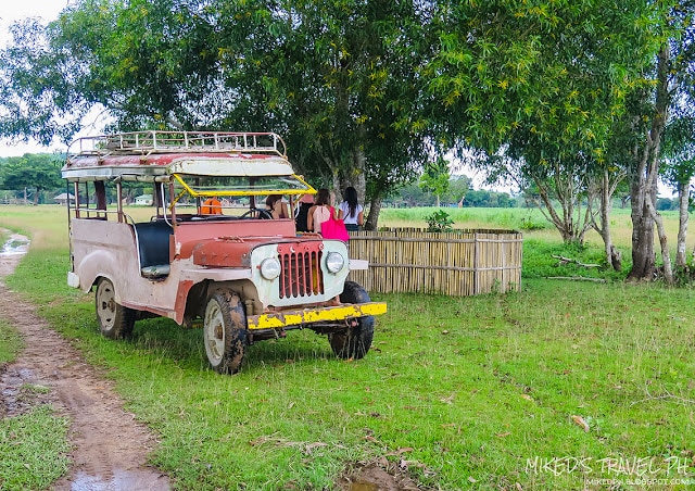 The old but reliable safari jeepney