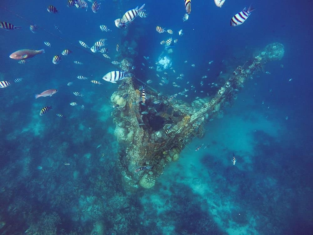 Skeleton-shipwreck-coron-Palawan-boat-tour-3