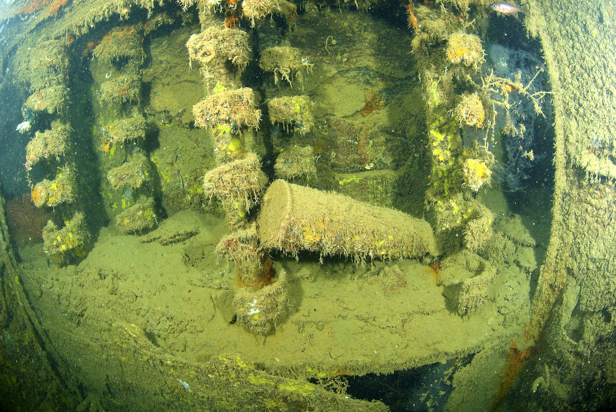 akisushima shell elevator