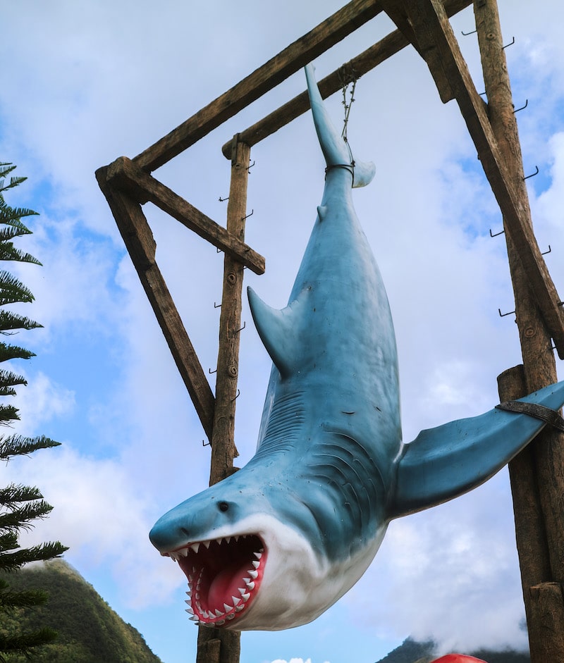 campuestohan-highland-resort-theme-water-park-hanging-shark