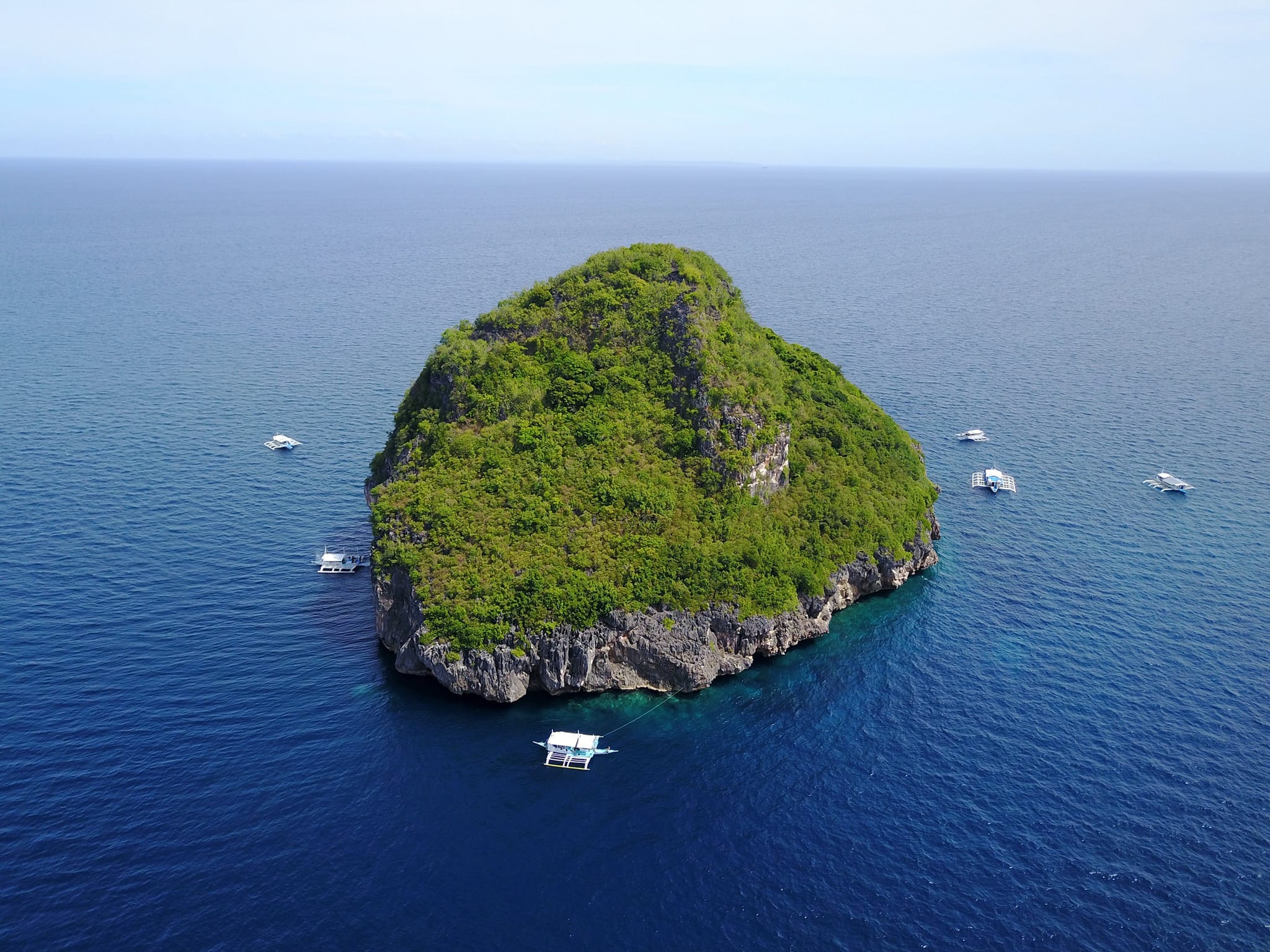 Gato Island view