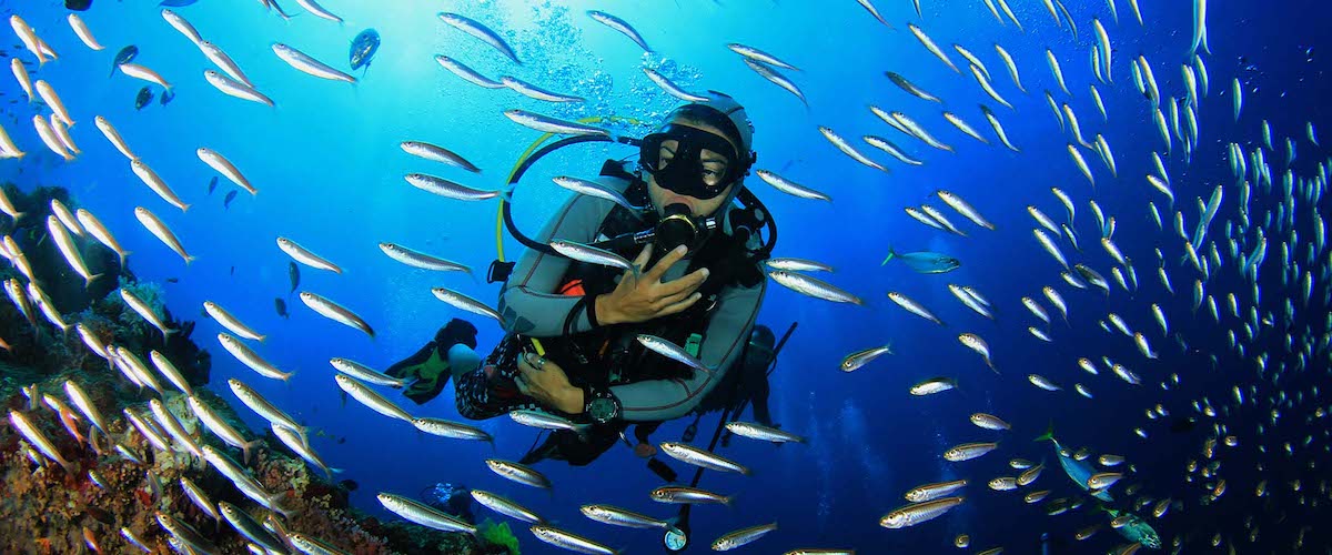 Scuba diving on tropical coral reef with fish underwater