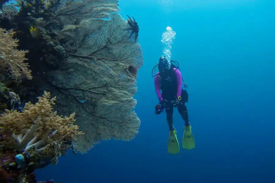 Scuba Diving Napantao Marine Sanctuary north wall